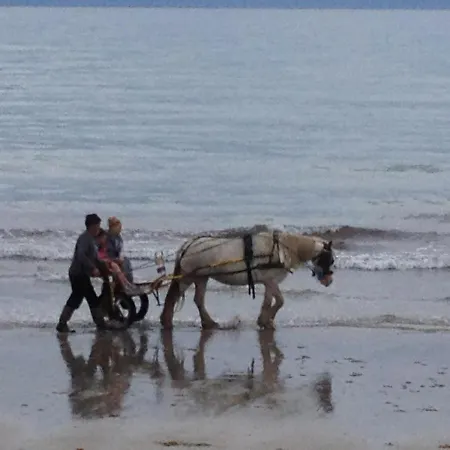 Burns Accommodatie bij particulieren Ballyheigue